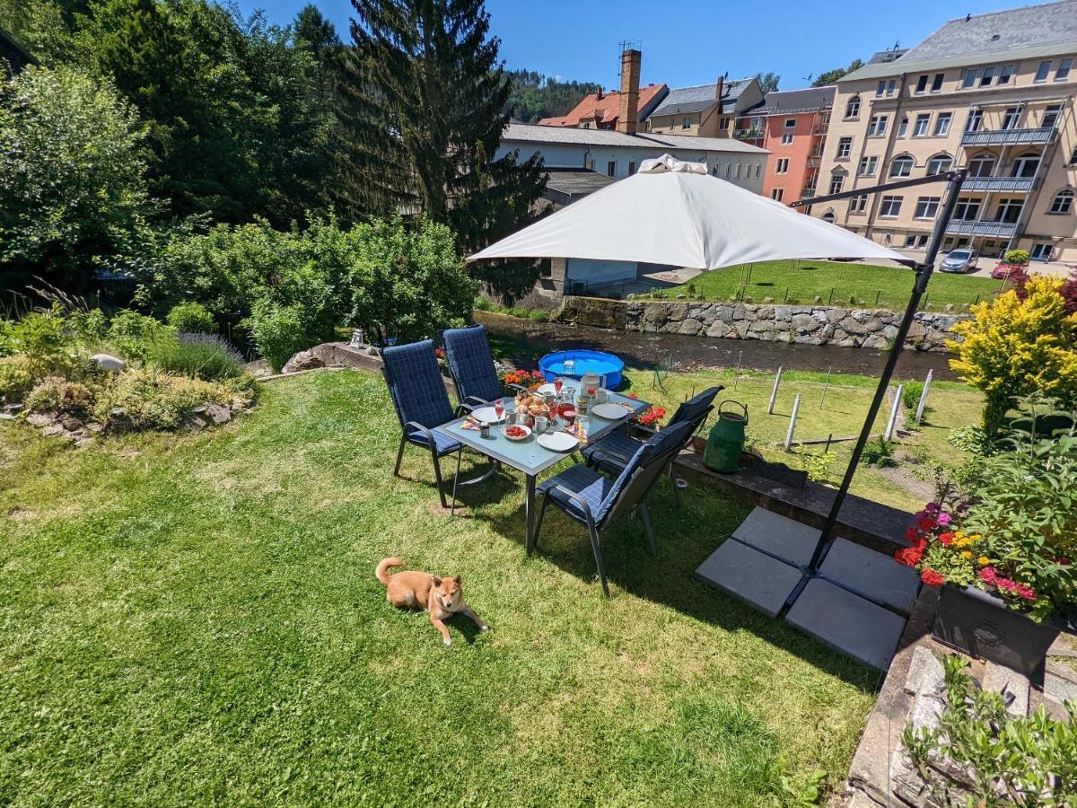 Lichtdurchflutete Helle Wohnung Mit Garten Sauna & Pool - Hw3 Sebnitz Exterior photo